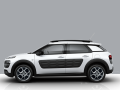 C4 Cactus